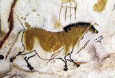 Cheval, Lascaux